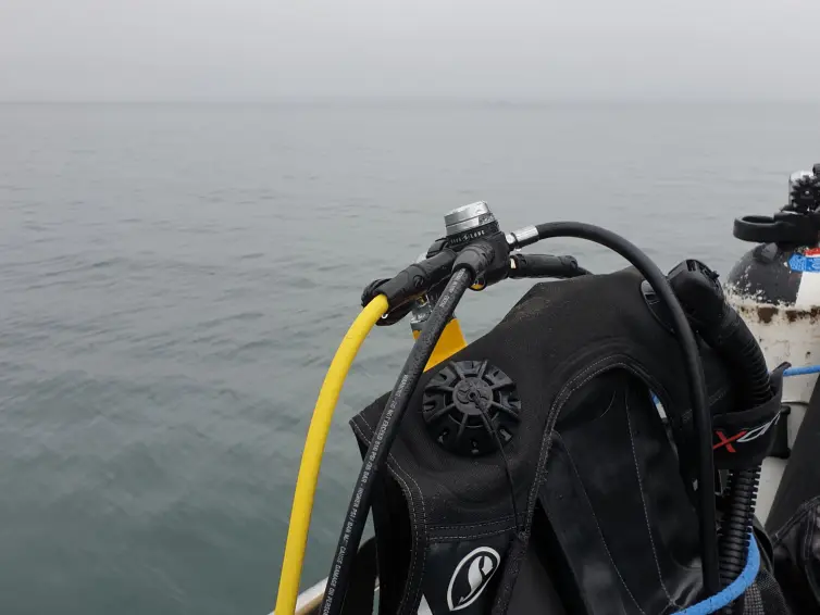 Shoulders of a person wearing a scuba diving suit and sea in the background.